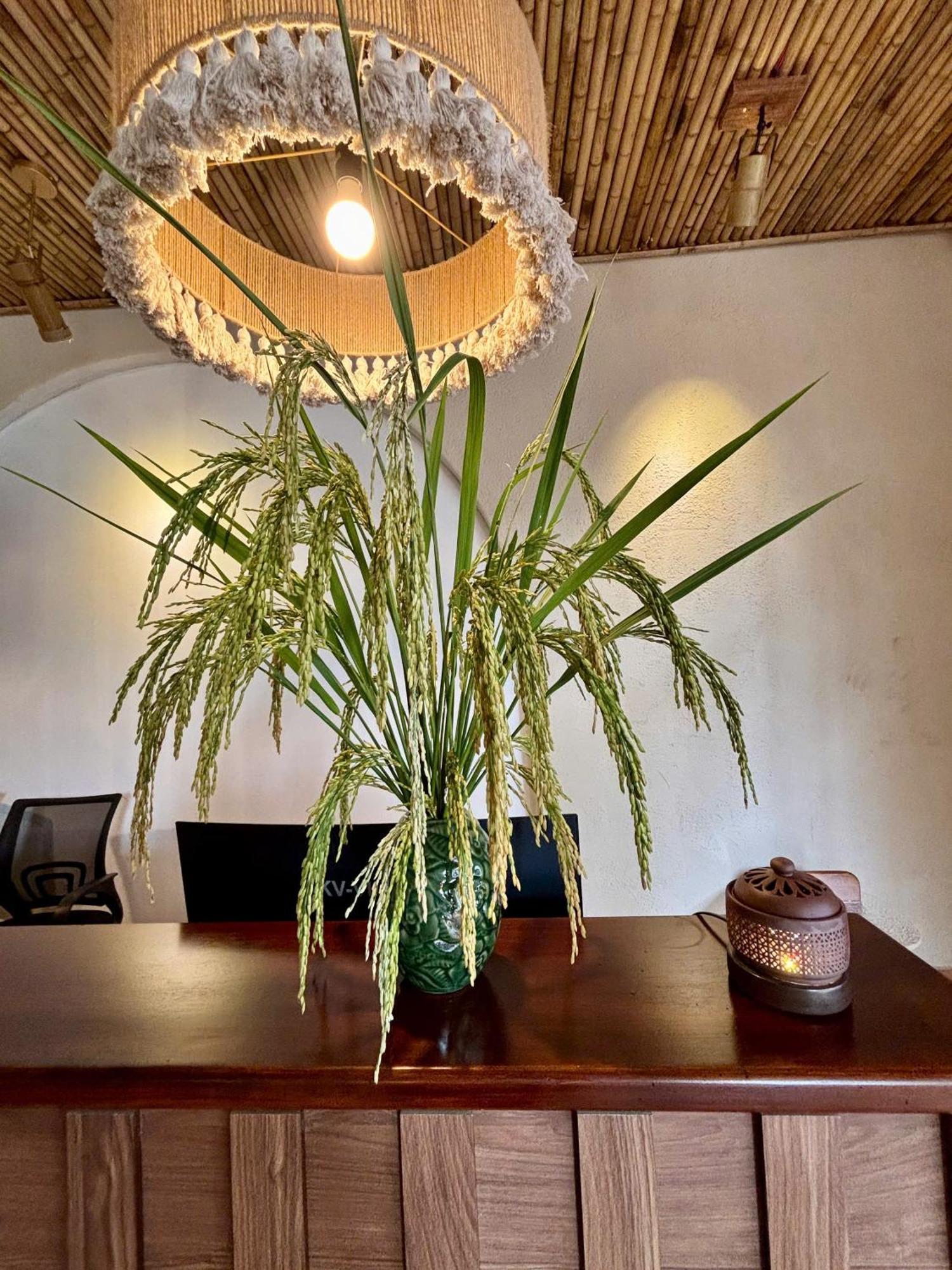 Truong Giang Boutique Hotel Lang Mon Exterior foto