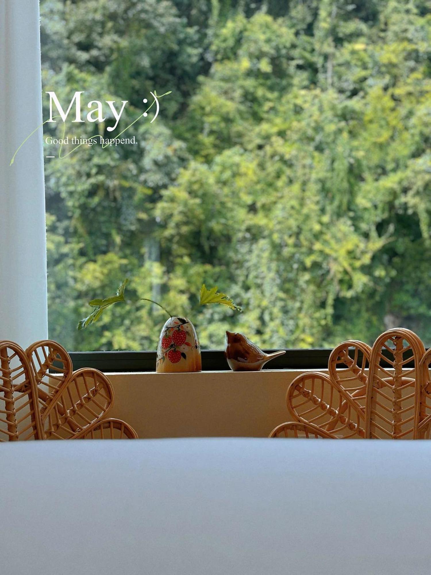 Truong Giang Boutique Hotel Lang Mon Exterior foto